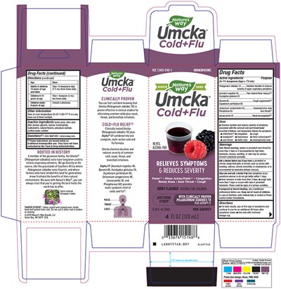 15148_B01 Umcka Cold & Flu Berry Syrup.jpg 15148 B01 Umcka Cold Flu Berry Syrup